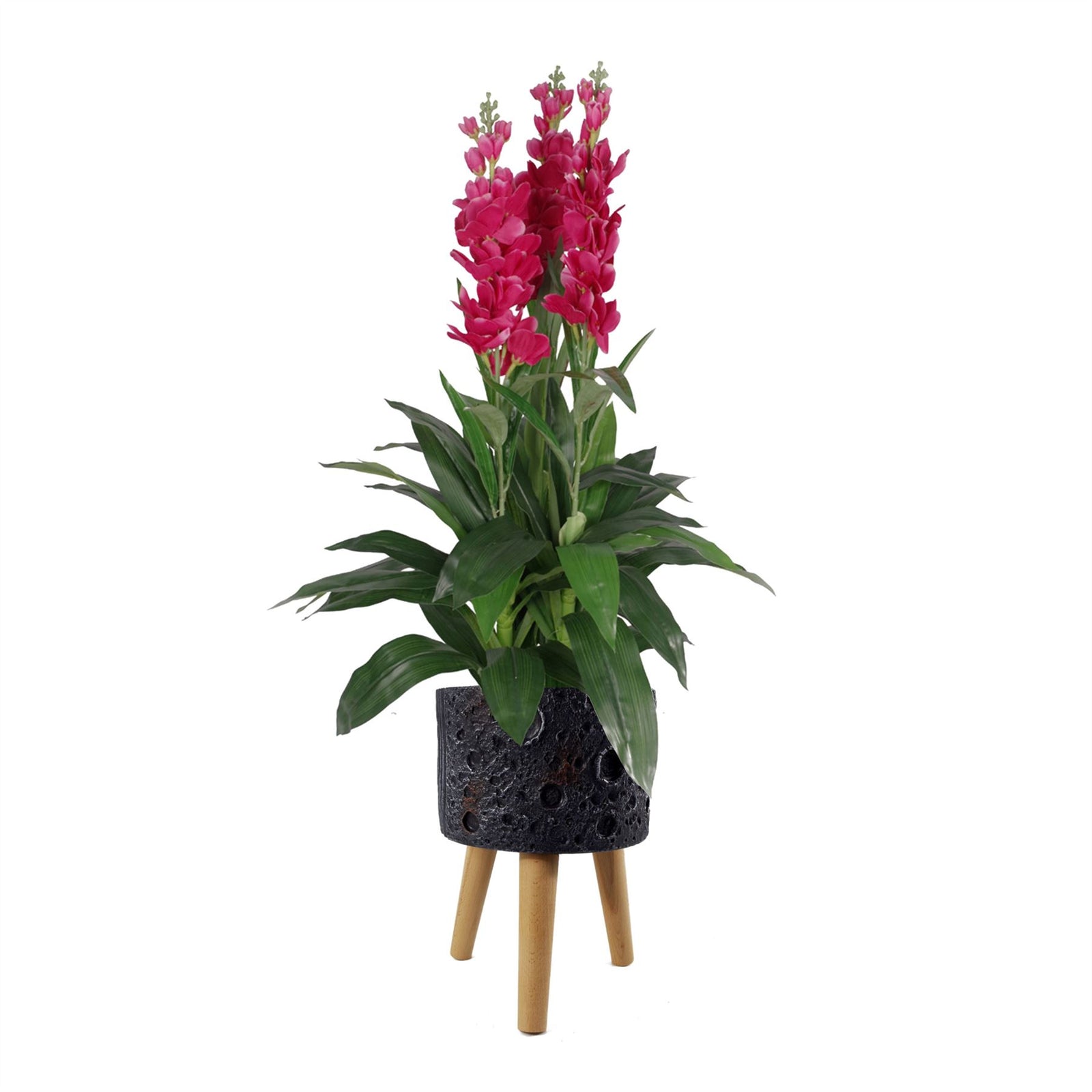 Leaf Moon Black Planter With Stand