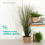 22cm Large Seagrass Plant Pots Set Of 3