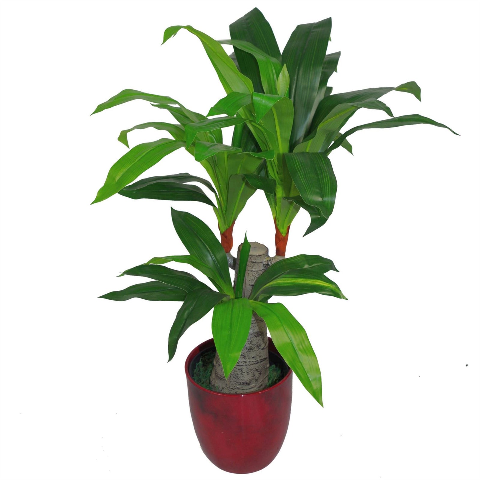 Tropical Artificial Plants Dracaena 75cm House Plant