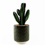 23cm Artificial Cactus With Green Ceramic Planter