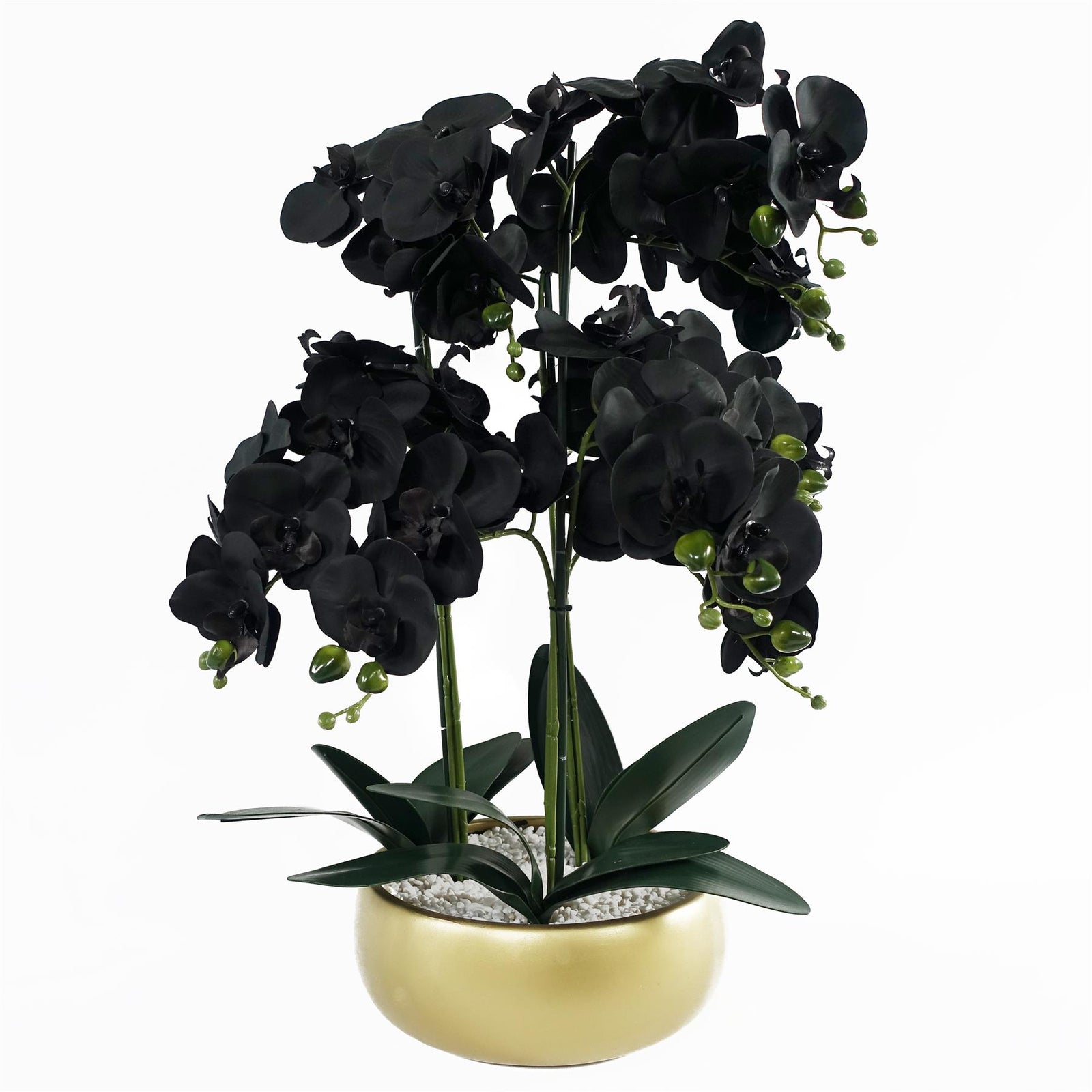Leaf Orchid Black - Gold Ceramic Planter