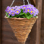 Willow Cone Hanging Basket - Set Of 4