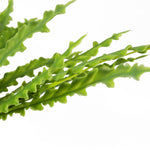 40cm Artificial Crocodile Fern Plant