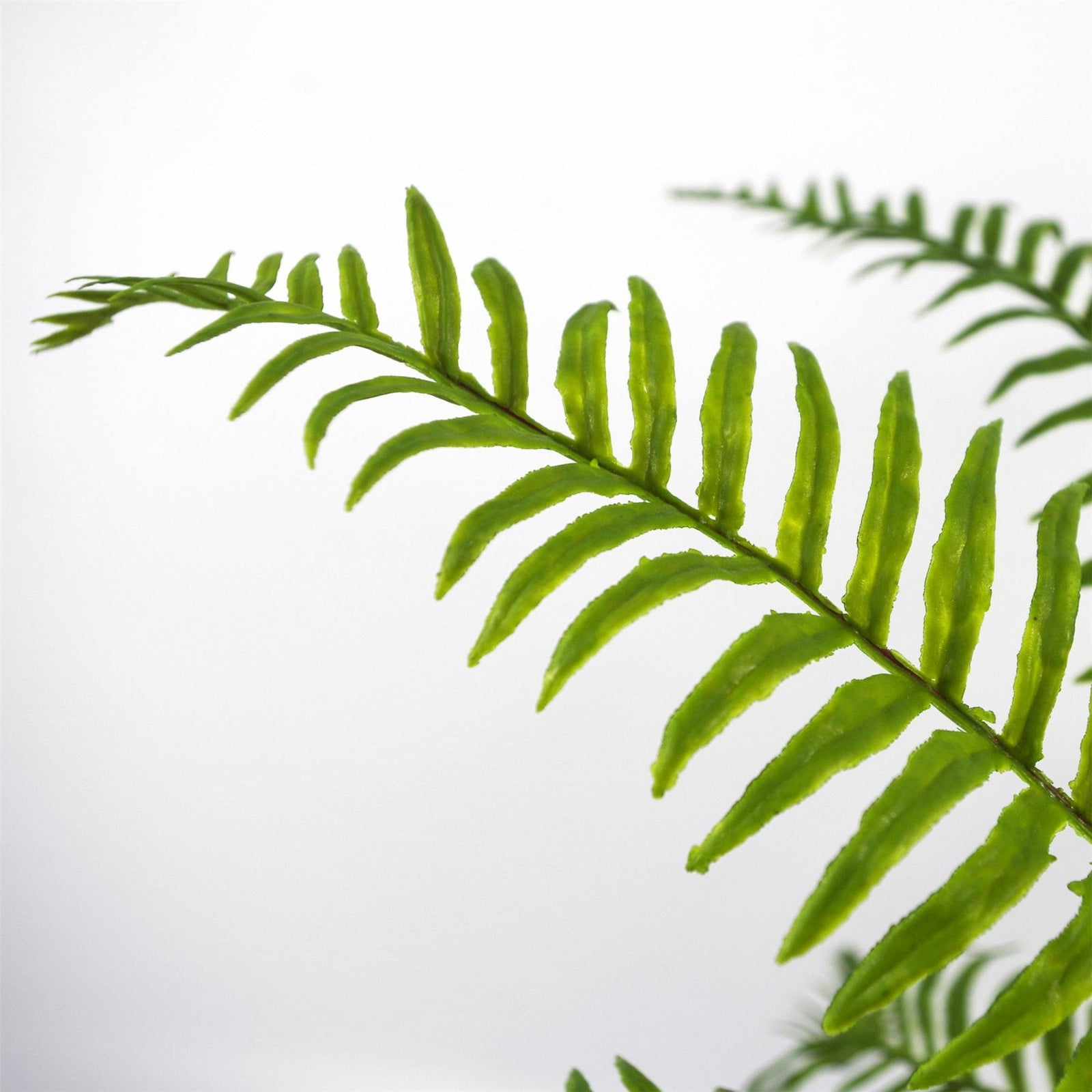 Artificial Fern Plant 50cm Artificial Boston Fronded Fern Plant