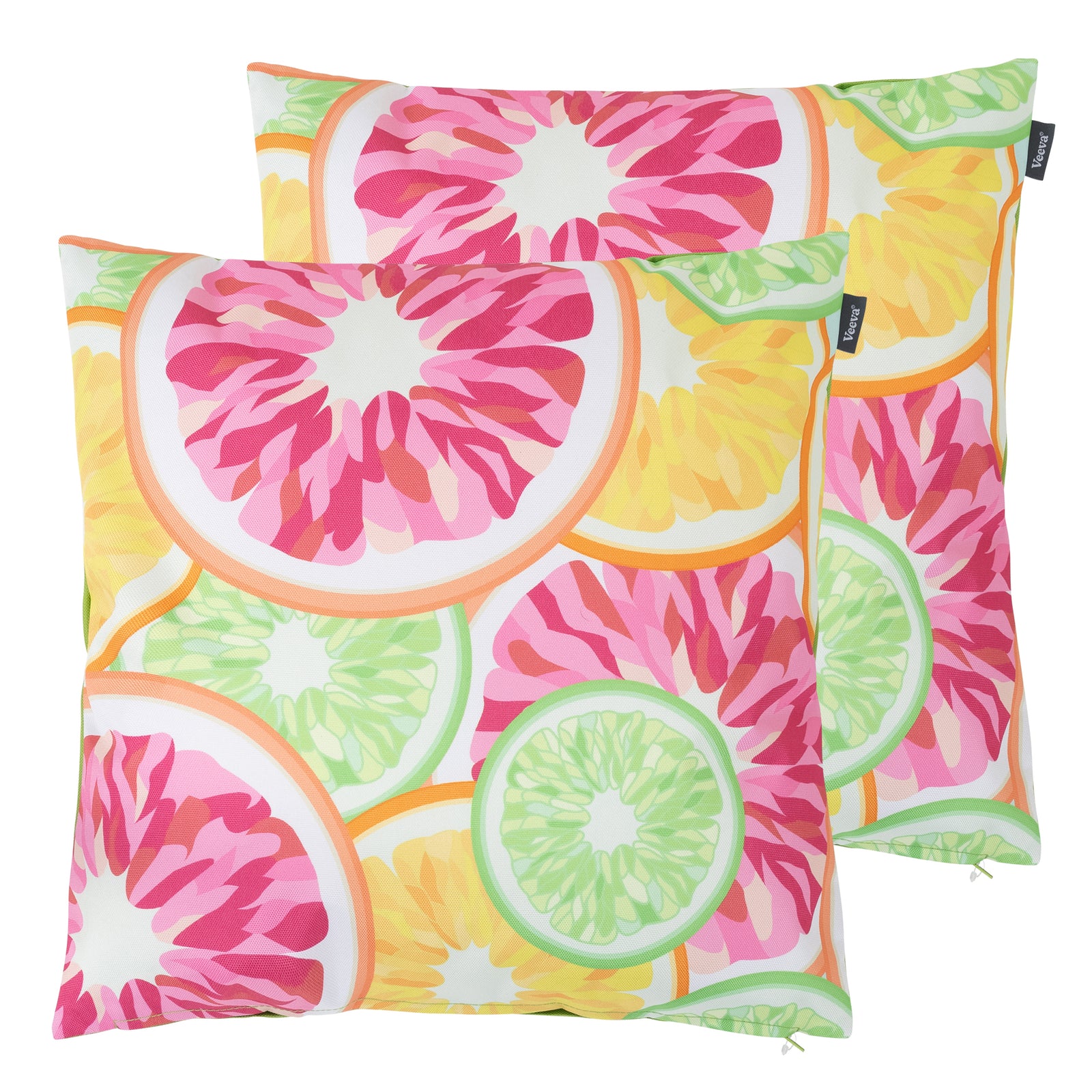 Fruit Print Set Of 2 Outdoor Cushion