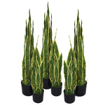 55cm Artificial Sansevieria Yellow Green Indoor Plant