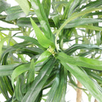 Leaf 100cm Artificial Dracaena Plant Tree With Pot - Premium Range
