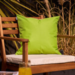 Fruit Print Set Of 2 Outdoor Cushion