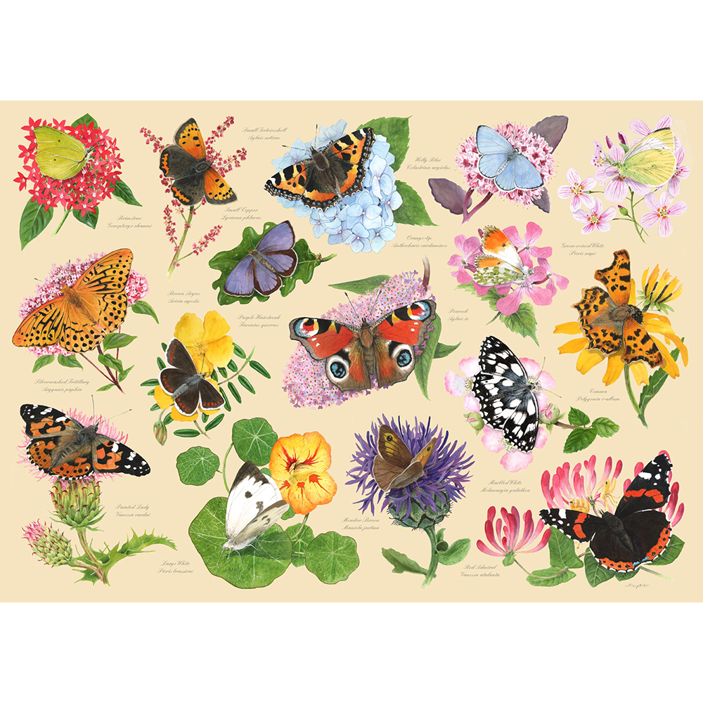 Garden Butterflies, 1000 Piece Jigsaw Puzzle