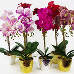 Orchid Artificial Red Leopard Gold Pot 50cm Phalaenopsis