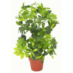 Leaf 75cm Artificial Arboricola Gold Capella Plant - Gold Metal Planter