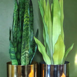 Leaf Metal Planter Plant Pot With Polished Gold Finish 20 X 18cm
