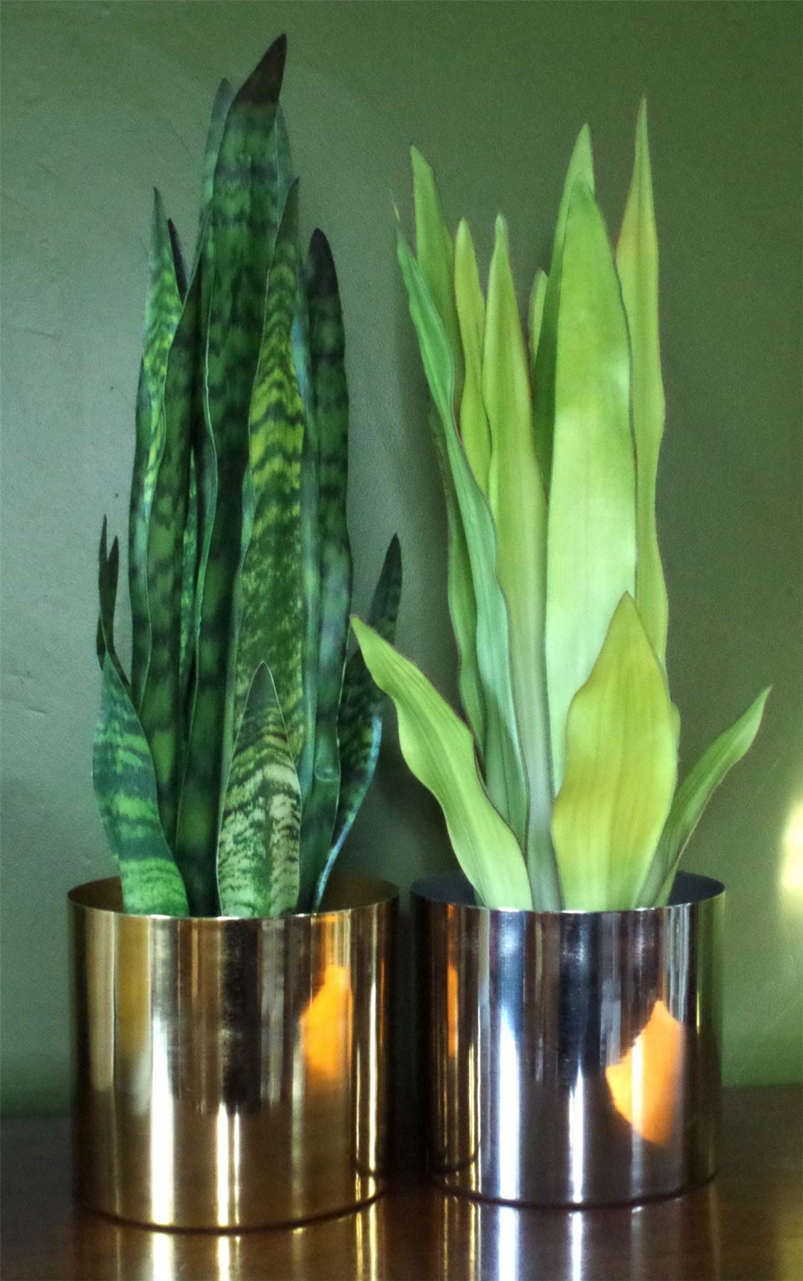 Leaf Metal Planter Plant Pot With Polished Gold Finish 20 X 18cm