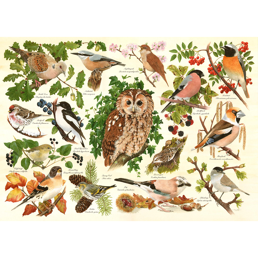 Woodland Birds, Big 500 Piece Jigsaw Puzzle