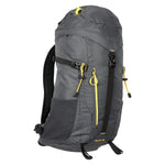 Phoenix 35l Backpack | One Size | Gray