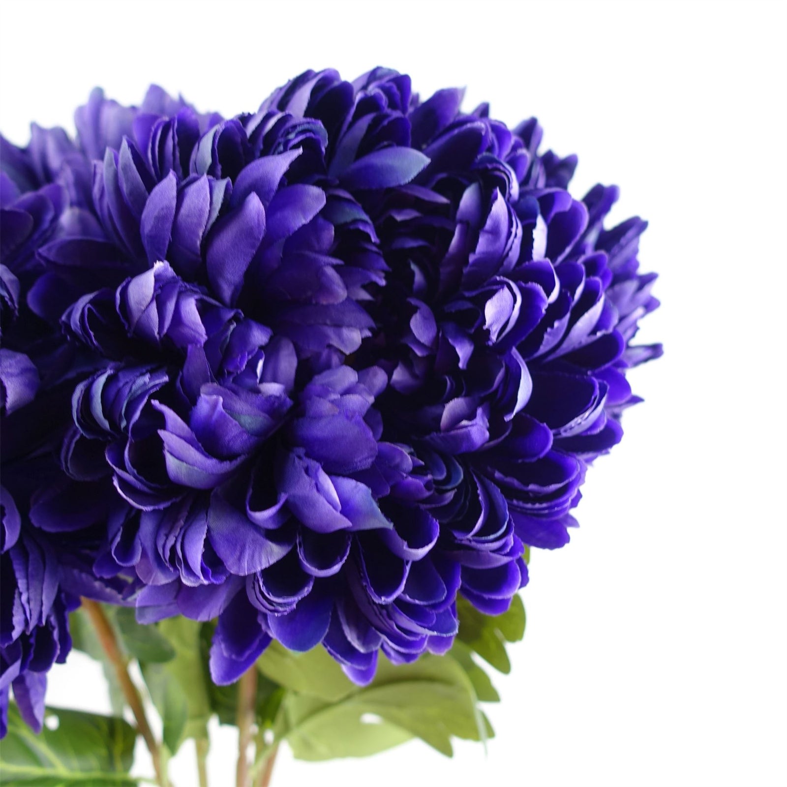 Pack Of 6 X 75cm Extra Large Reflex Chrysanthemum - Purple