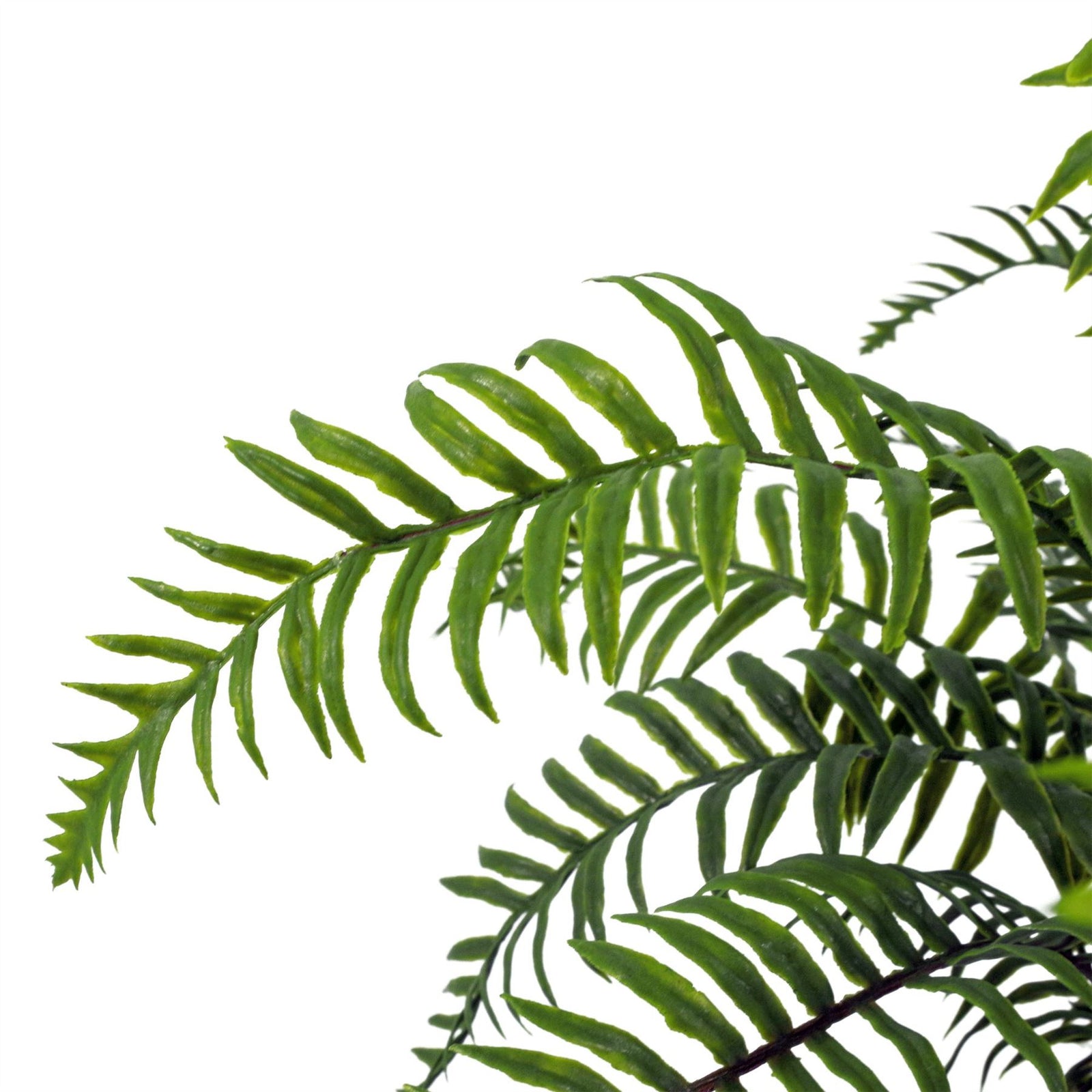 Artificial Fern Plant 50cm Artificial Boston Fronded Fern Plant