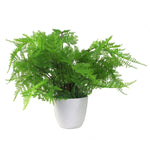 Pack Of 3 X 30cm Artificial Ferns - Southern Wood - Lady And Royal - Potted