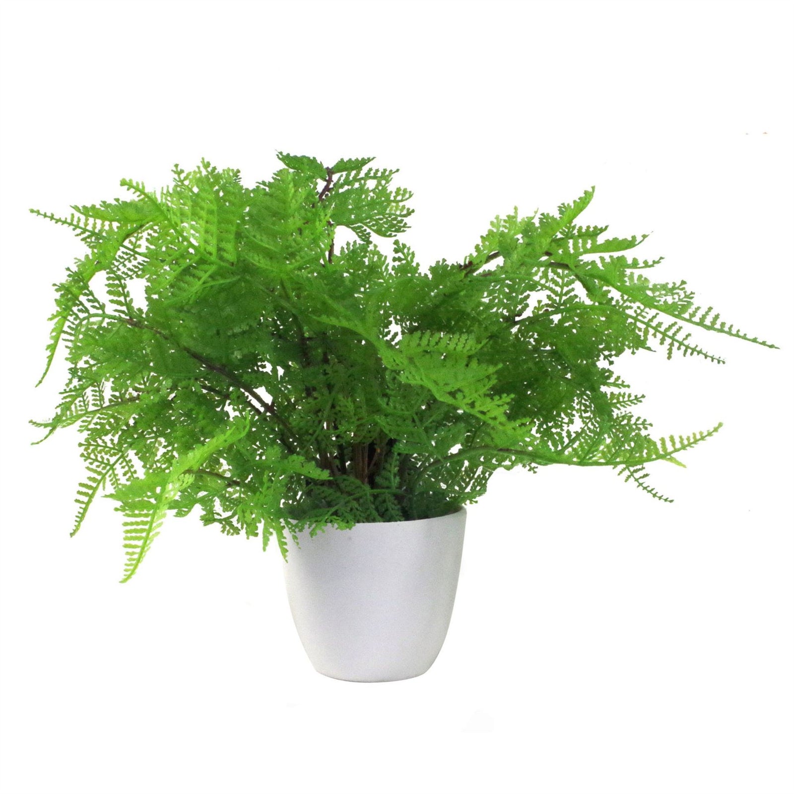 30cm Artificial Potted Lady Fern (athyrium Filix-femina)