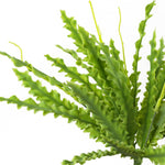 40cm Artificial Crocodile Fern Plant