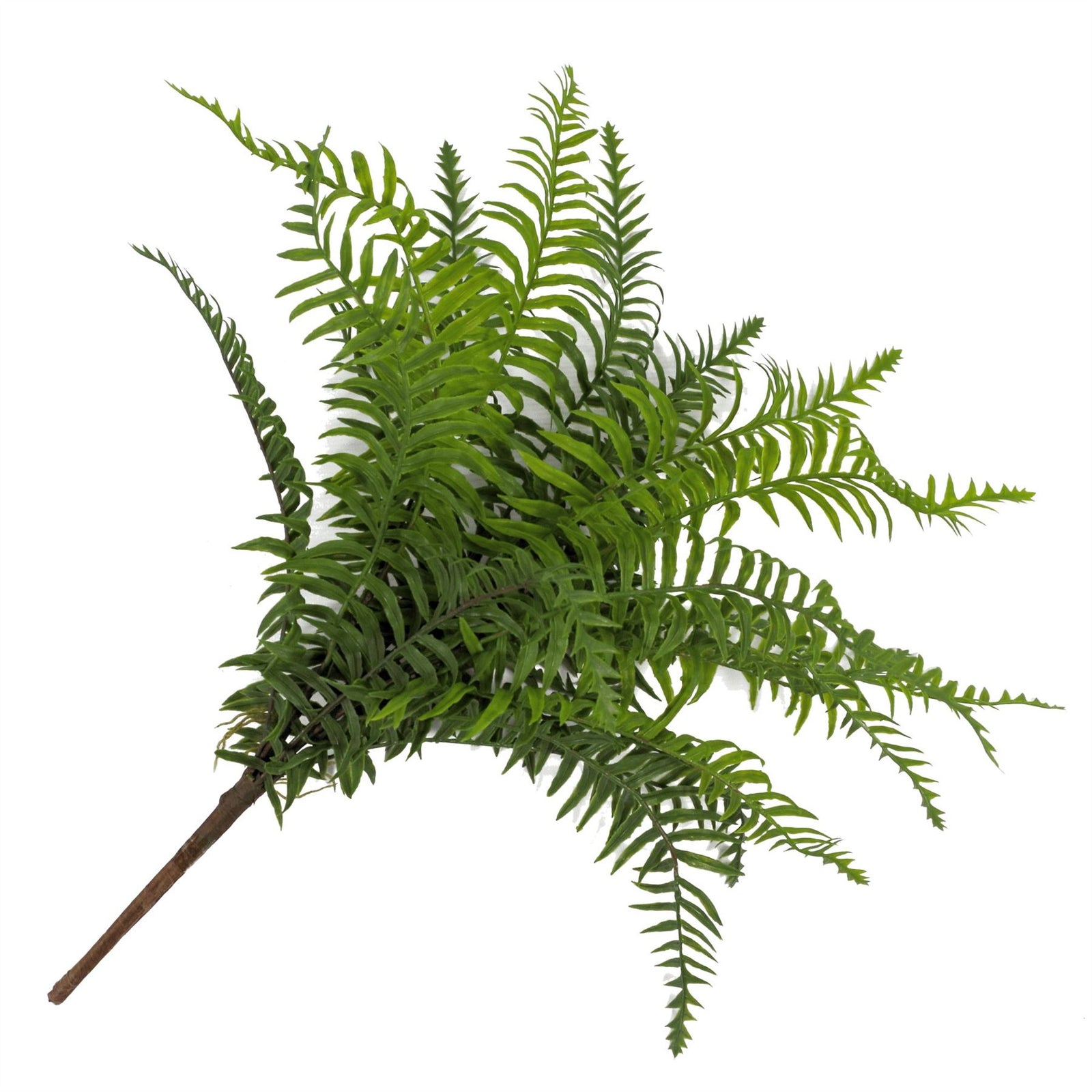 Artificial Fern Plant 50cm Artificial Boston Fronded Fern Plant