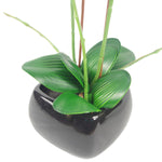 70cm Artificial Orchid Dark Pink With Black Ceramic Planter