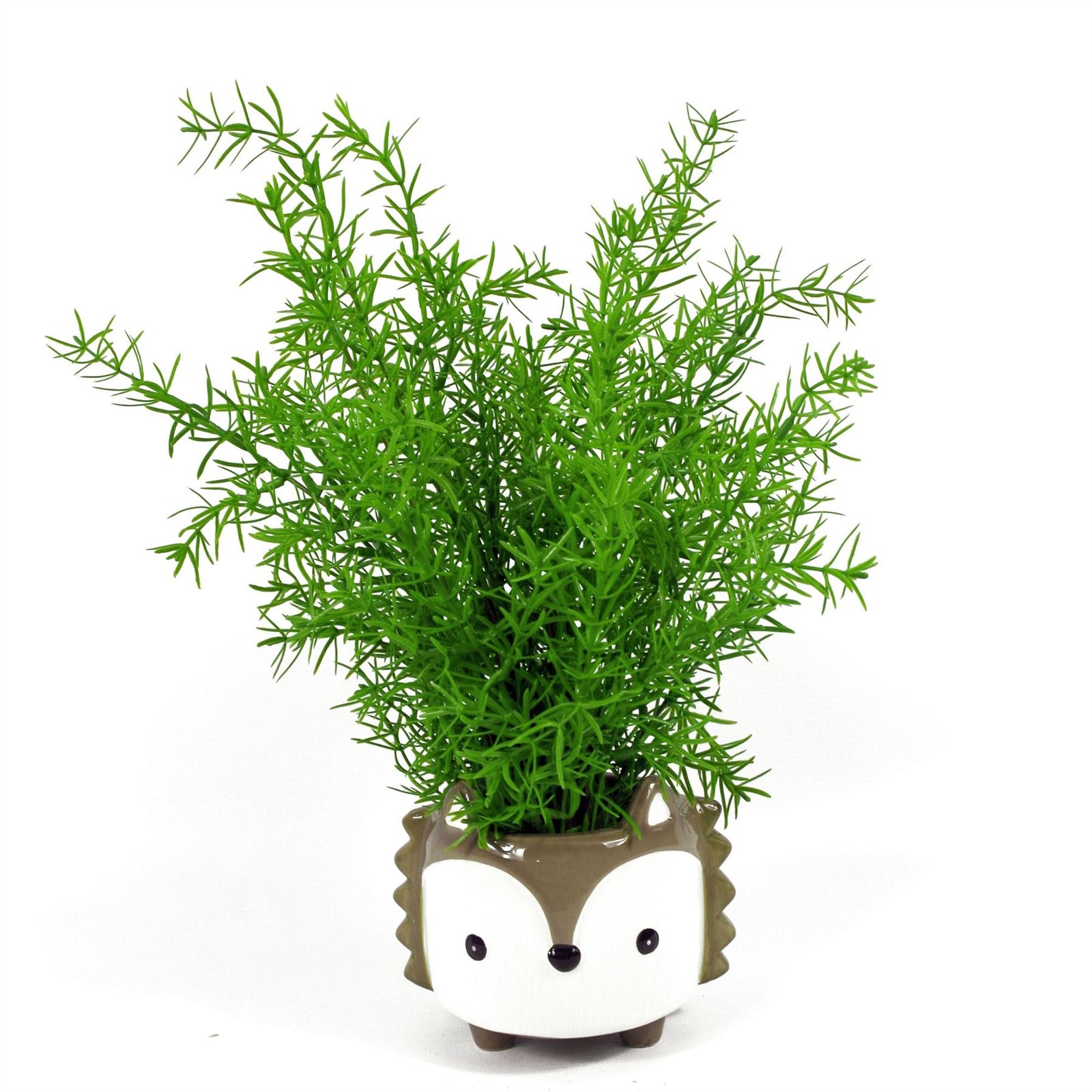 Leaf 45cm Artificial Asparagus Fern Plant