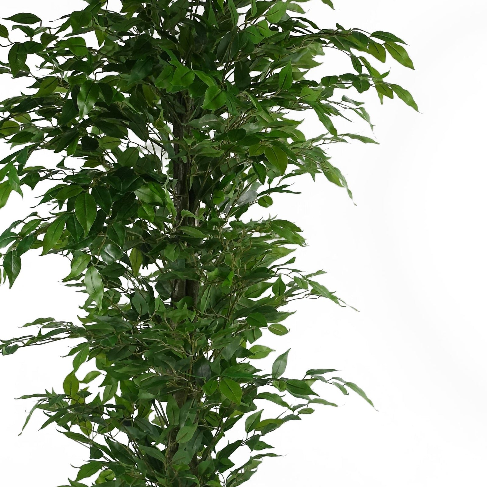 Artificial Ficus Tree Realistic - Huge 180cm 6ft