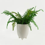 Ceramic Plant Pot Planter White Feet 15 X 15 X 18.5cm