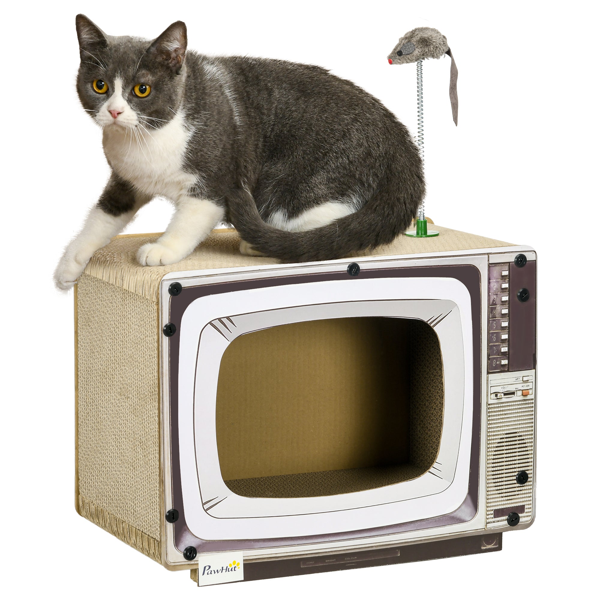 Cat tv toy hotsell