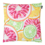 Fruity Prints Indoor Set Of 4 Outdoor Cushions - Collection Three