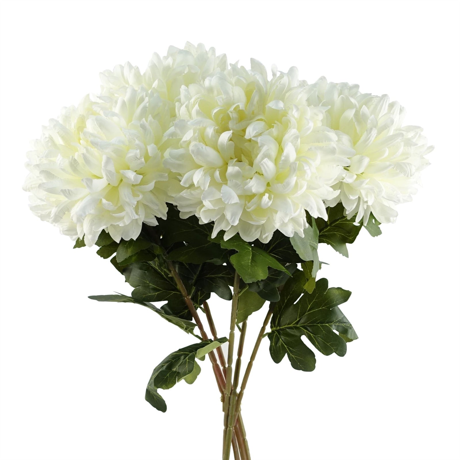 Pack Of 6 X 75cm Extra Large Reflex Chrysanthemum - White