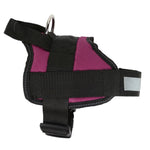 Reflective Dog Harness | Medium | Purple