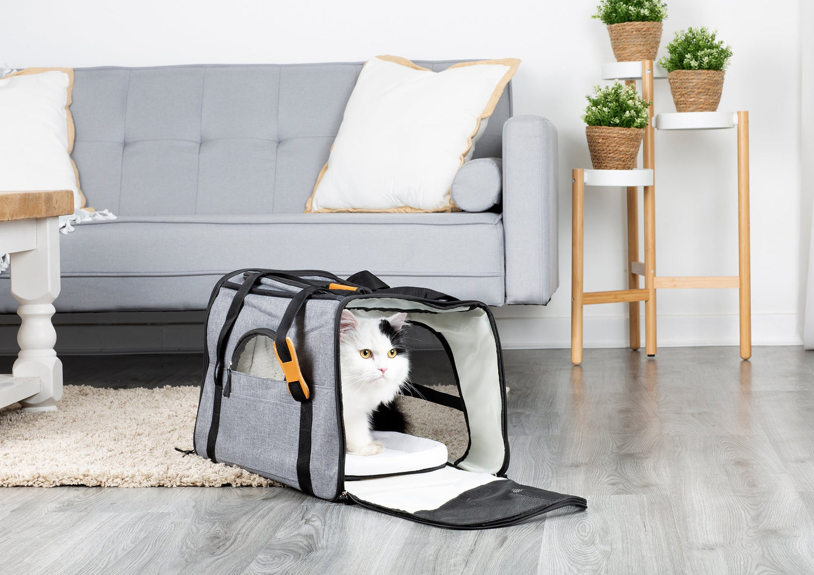 Foldable Pet Carrier