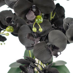 Leaf Orchid Black - Gold Ceramic Planter