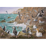 Sea Breeze, 1000 Piece Jigsaw Puzzle