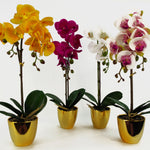 Orchid Artificial Pink Gold Pot 48cm Harlequin