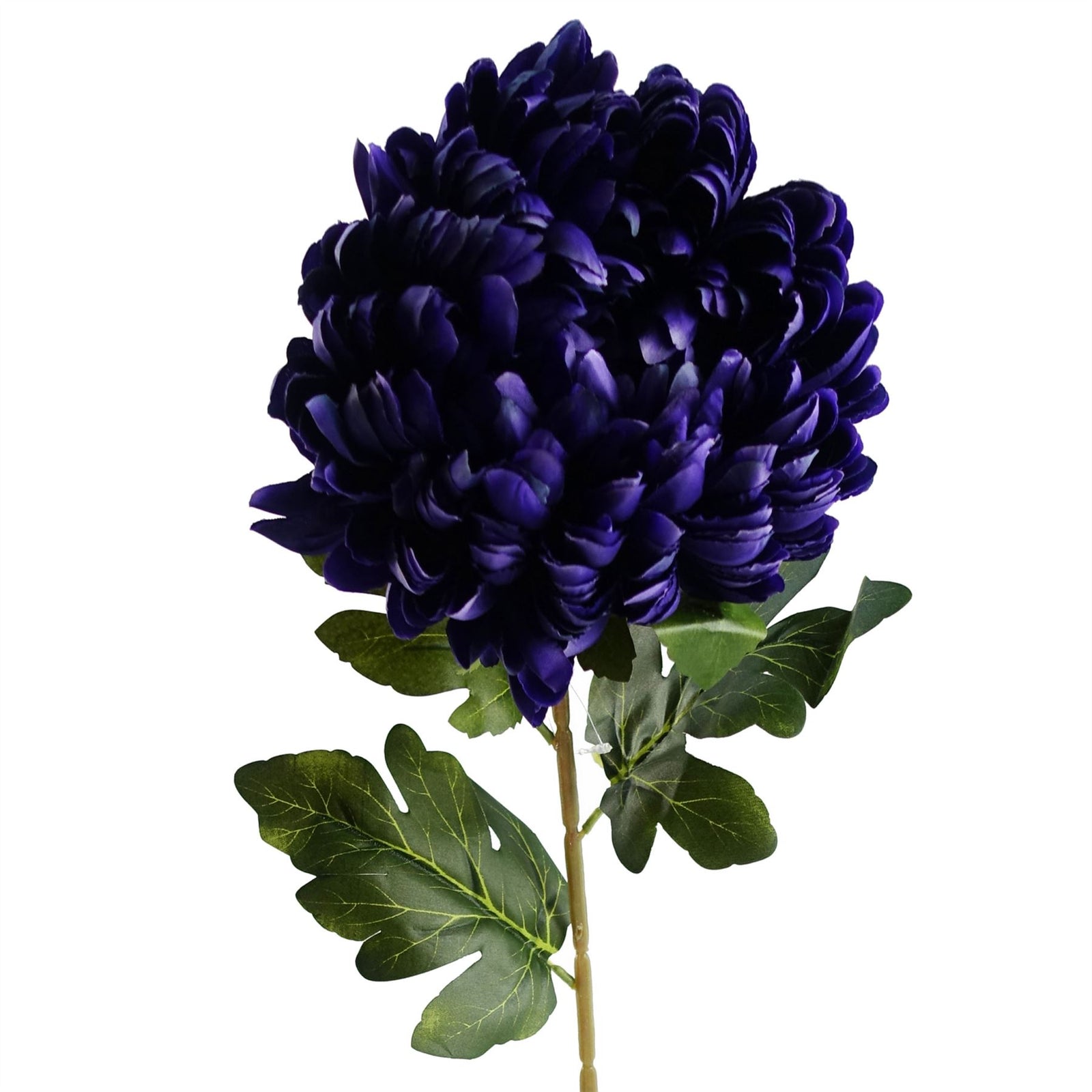 Pack Of 6 X 75cm Extra Large Reflex Chrysanthemum - Purple