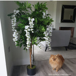 Leaf 130cm Luxury Artificial Wisteria Tree White Flowers - Premium Range