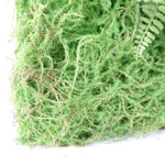 Artificial Green Wall Fern