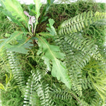 Artificial Green Wall Fern