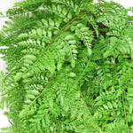 Artificial 110cm Hanging Fern Ball - Extra Large