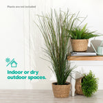 22cm Large Seagrass Plant Pots Set Of 3