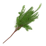 55cm Himilayan Maidenhair Fern Bush Dark Green Plant