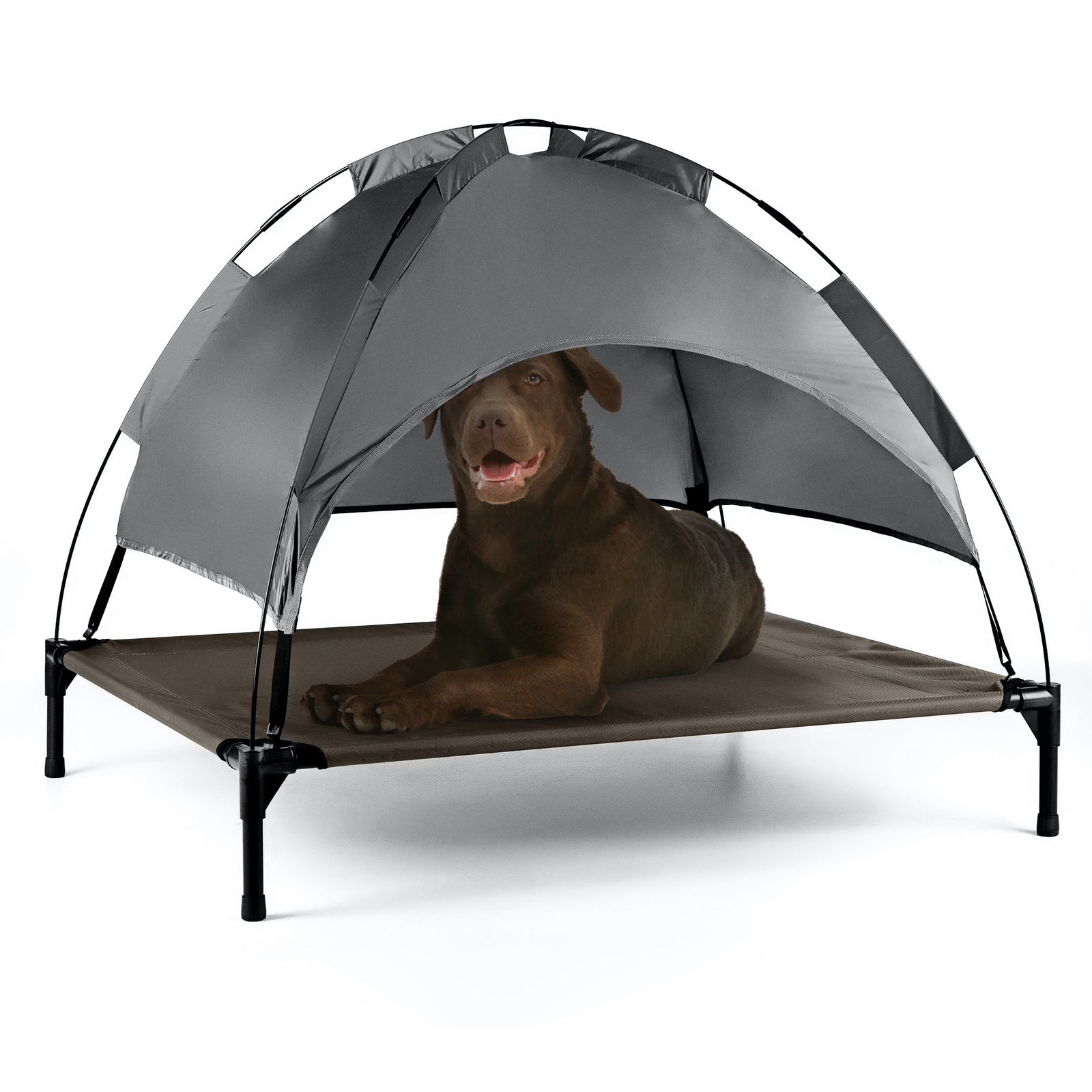 Elevated Dog Bed With Canopy Shade Xl