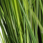 Leaf 130cm Artificial Natural Onion Grass Plant