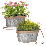 Hanging Metal Small Planter - 2 Pack