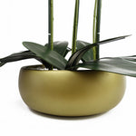 Leaf Orchid Black - Gold Ceramic Planter