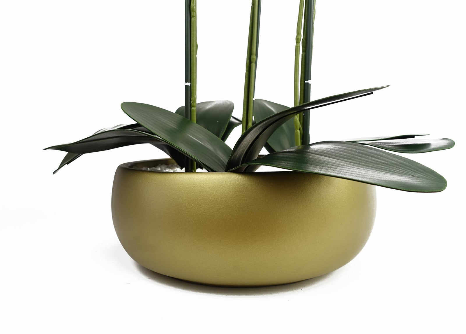 Leaf Orchid Black - Gold Ceramic Planter