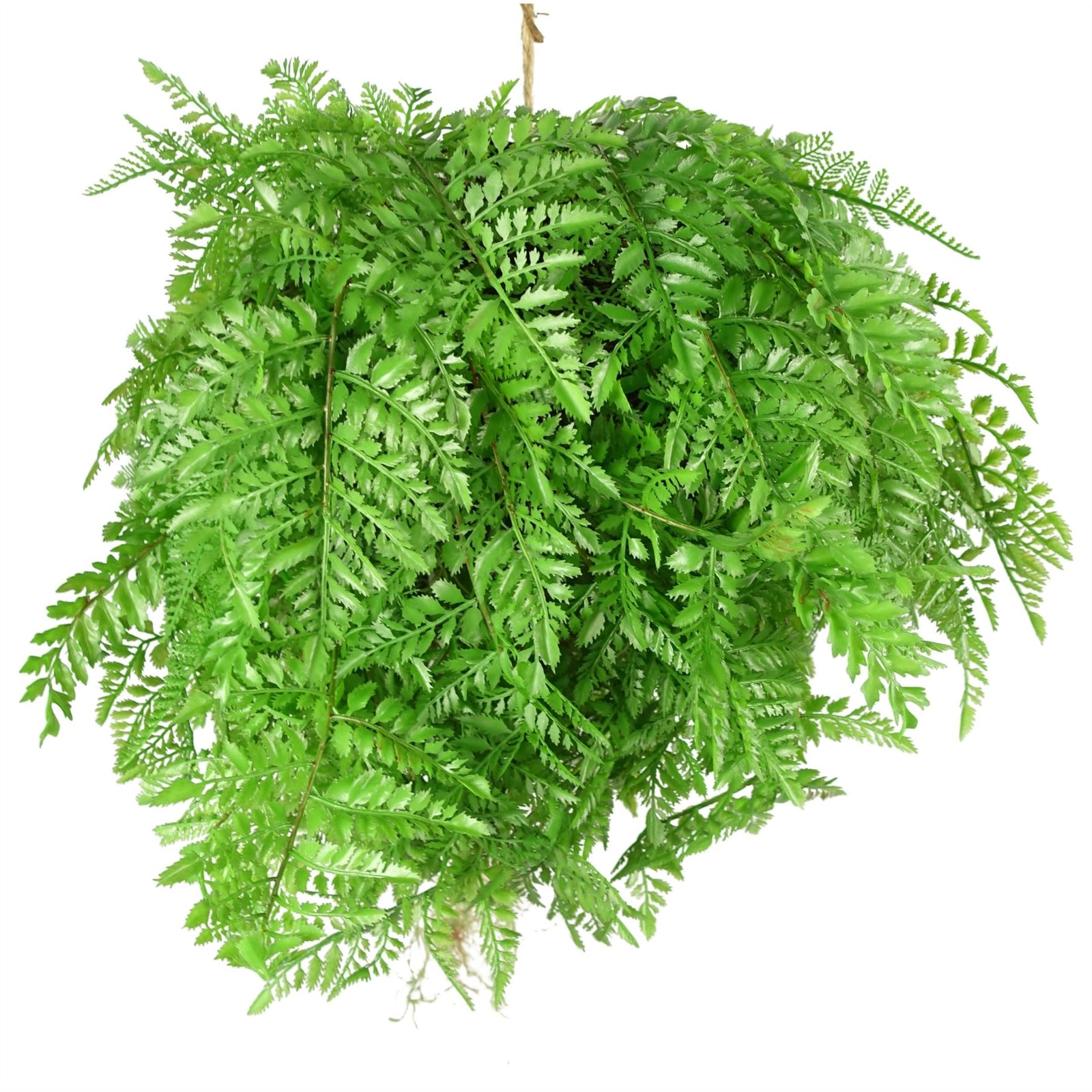 Artificial 110cm Hanging Fern Ball - Extra Large